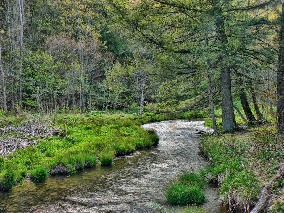 River water green photo