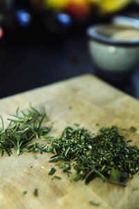 Culinary herbs herb healthy photo