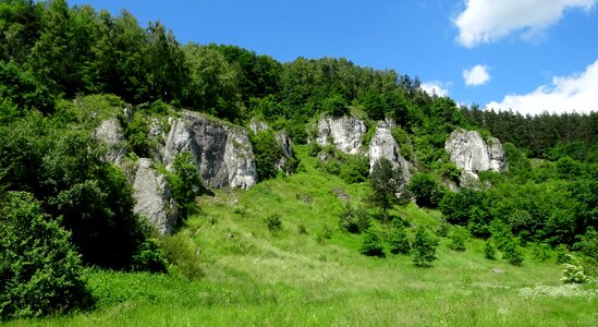 Nature poland green