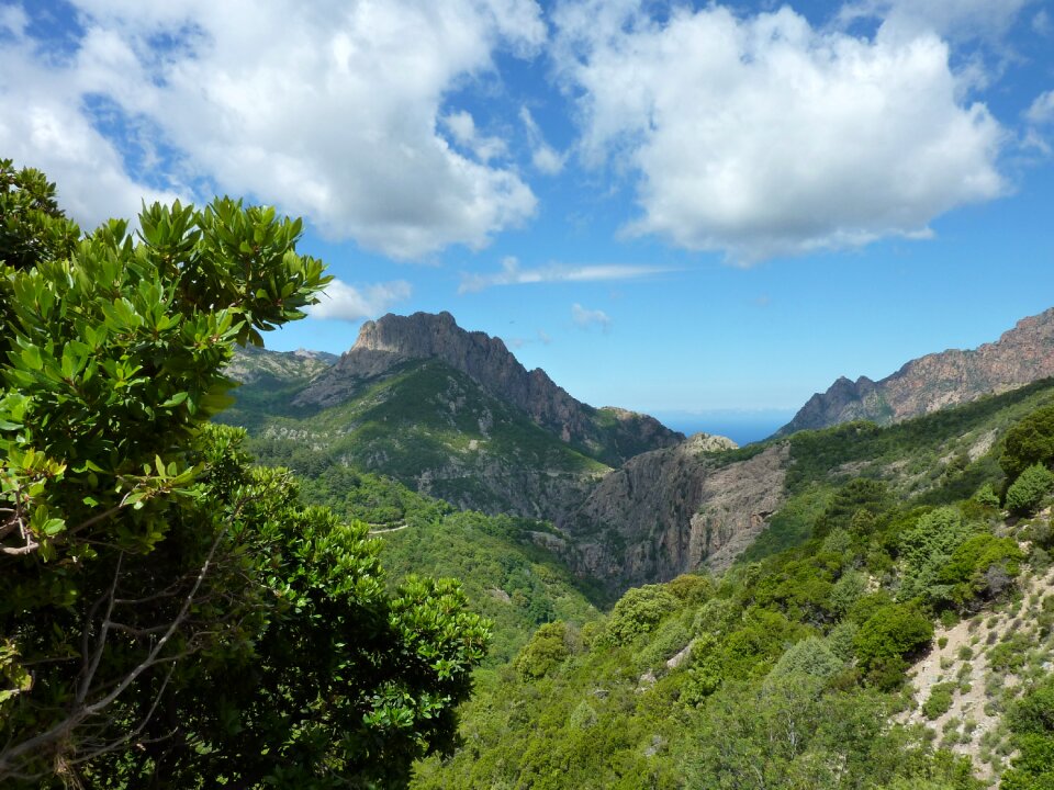 Hiking mountain forests mountain range