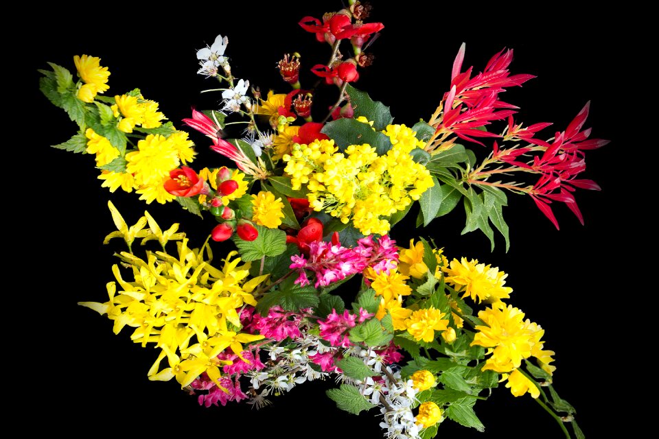 Nature wild growth creative