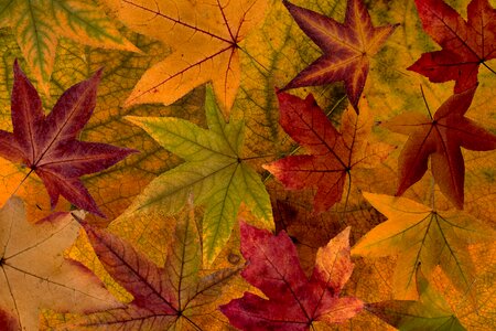 Composition background arrangement