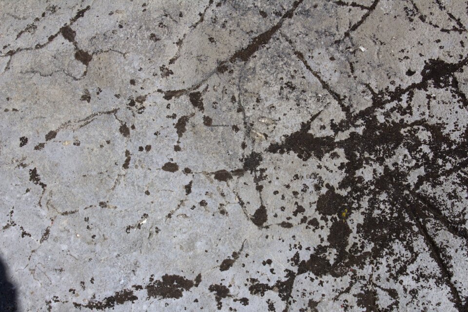 Grunge background nature