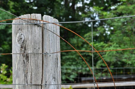 Wooden farm post