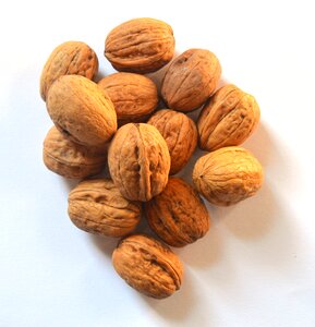 Dry fruit dried fruit power