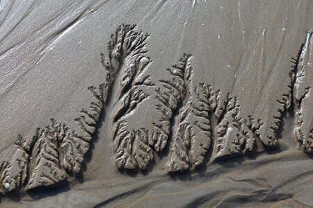 Wadden sea sand drawing vacations