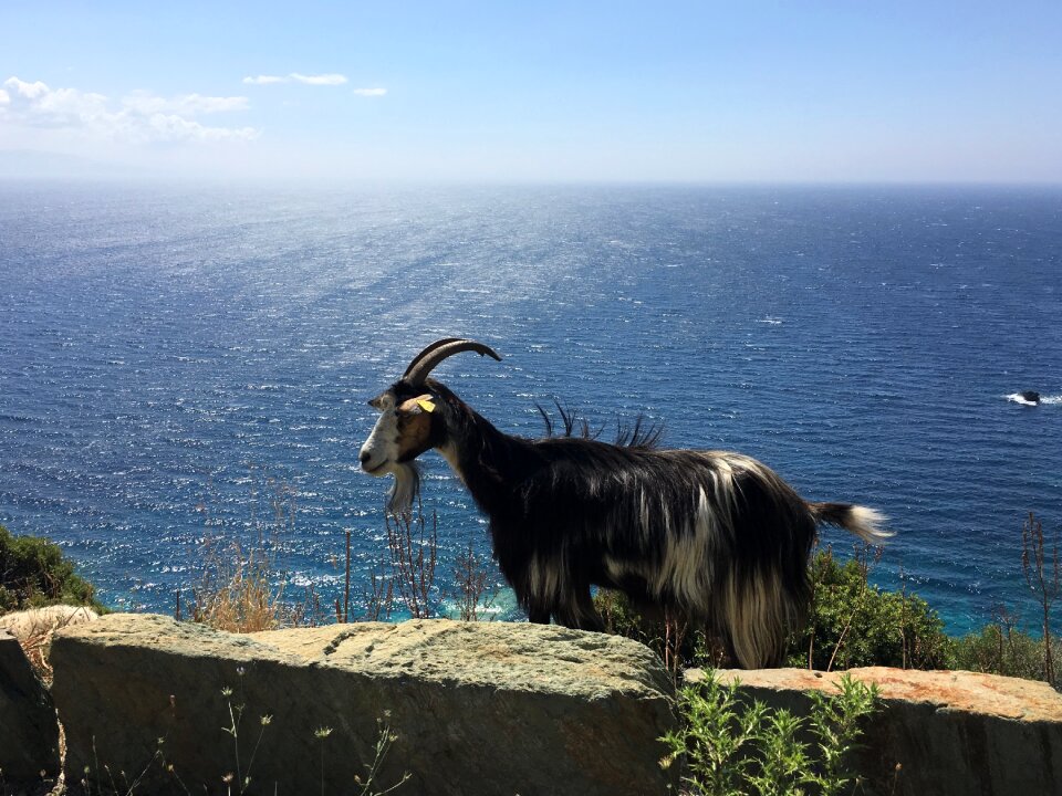Roadside island corsica