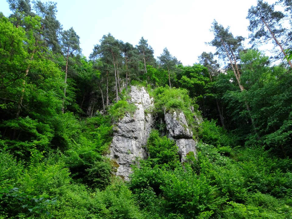 Nature poland malopolska