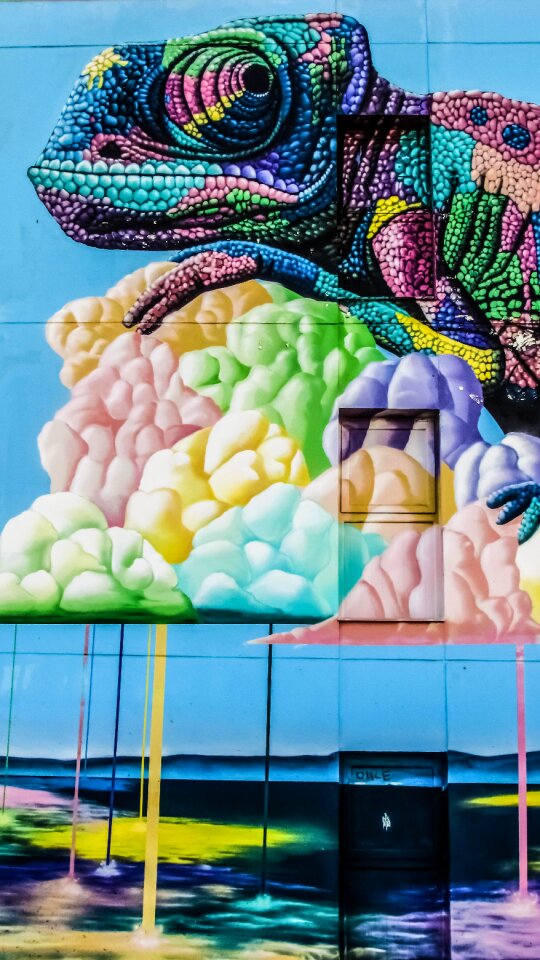Wall hotel colourful
