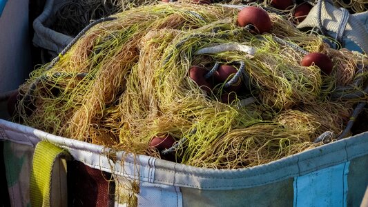 Harbour summer fishing net