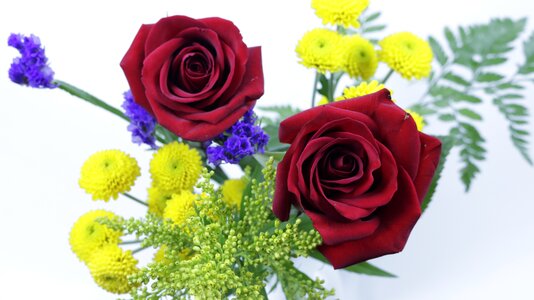 Yellow elegant love