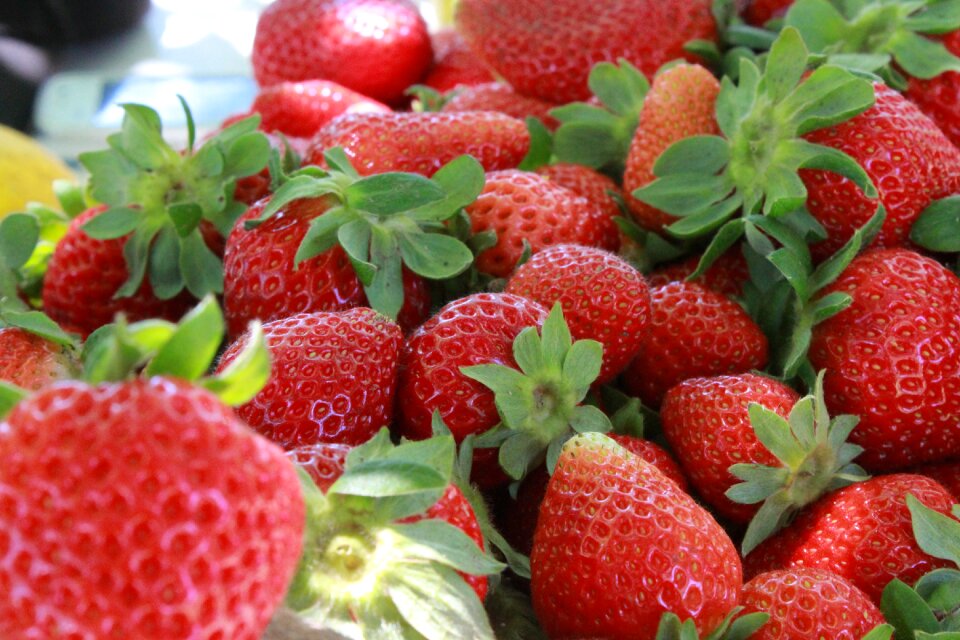 Fruit red sweet
