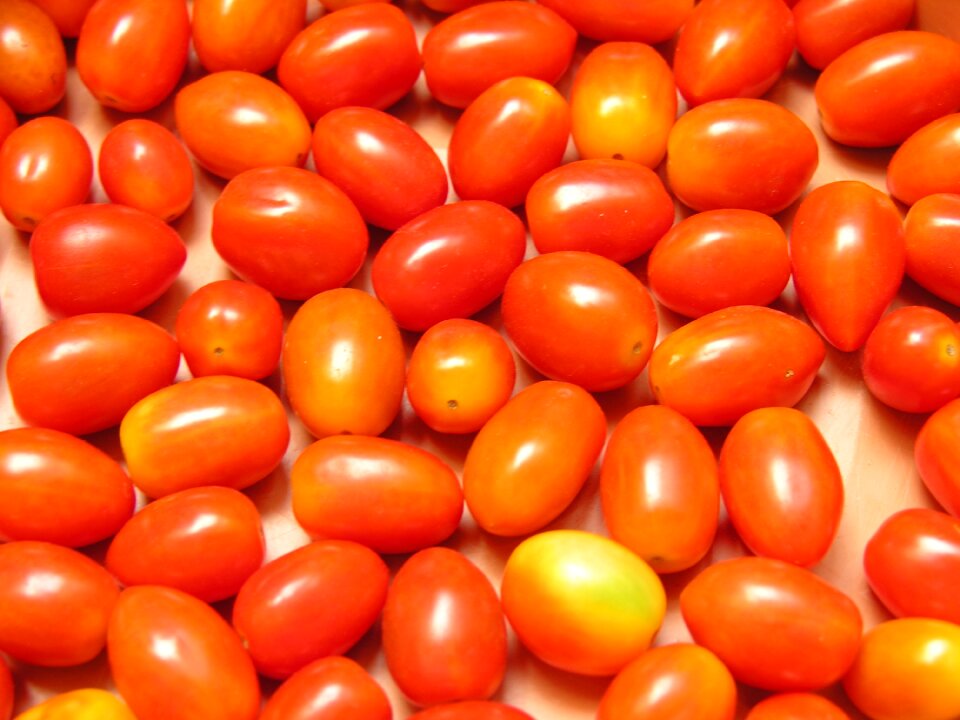 Plant salad ingredient