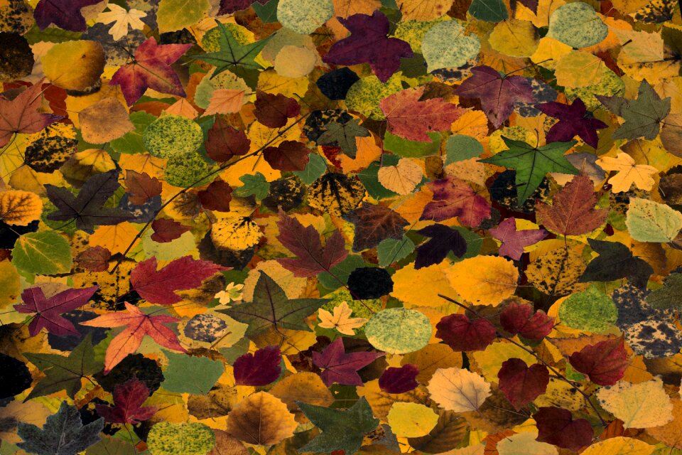 Composition background arrangement