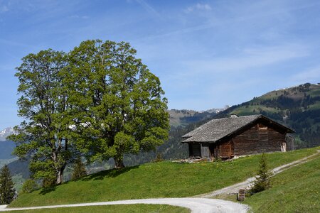 Landscape gstaad bernese oberland