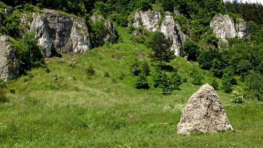 Landscape nature poland