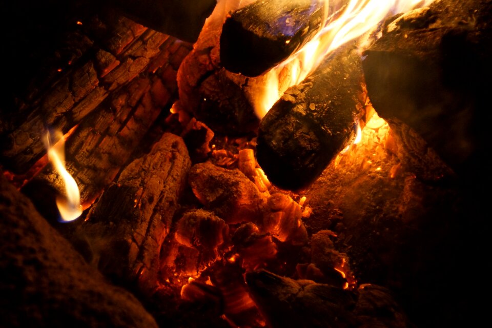 An outbreak of fire wood