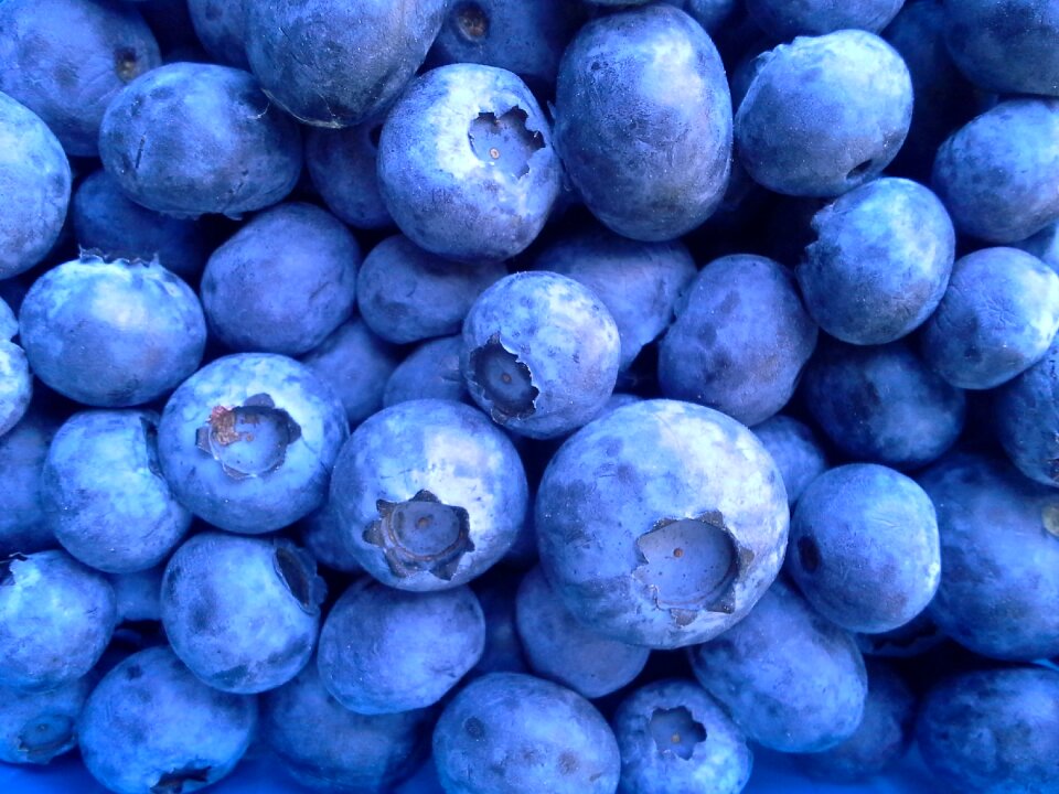 Blueberries health nature