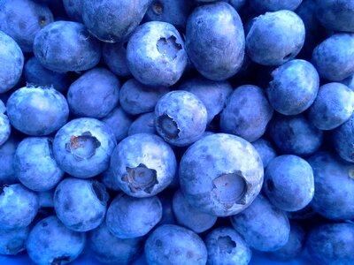 Blueberries health nature