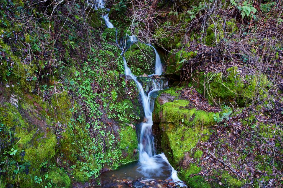 Nature water landscape