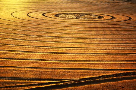 Sun light inspiration
