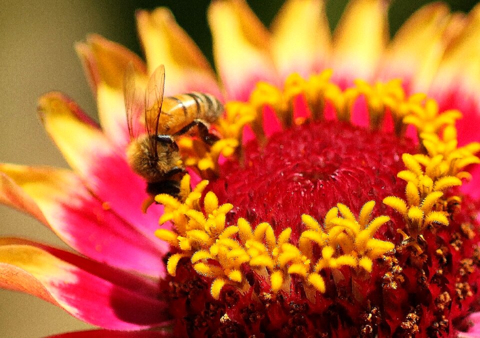 Nature garden floral