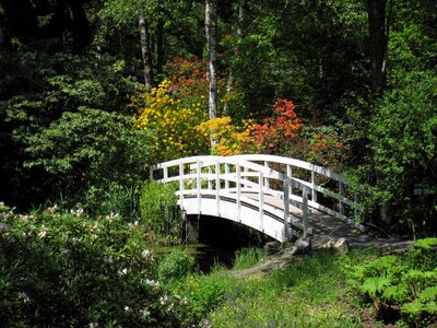 Nature landscape footbridge