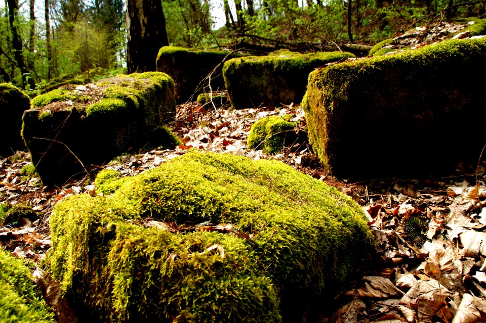 Stones nature green