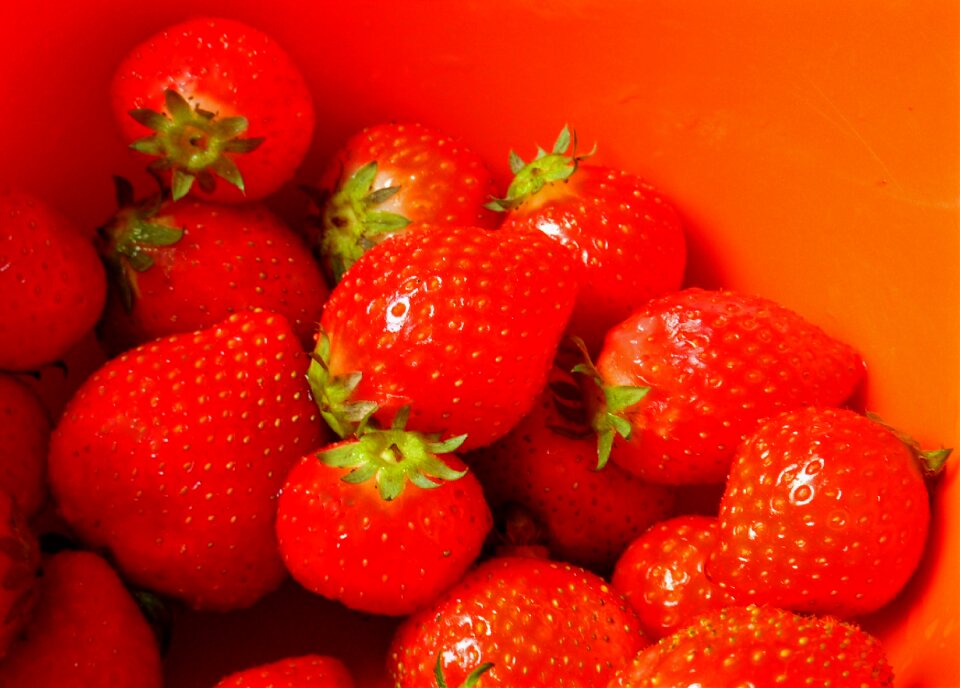 Fruit sweet summer