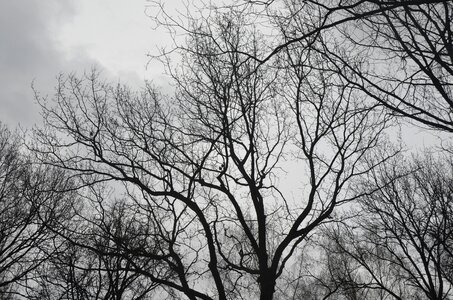 Autumn sky dark