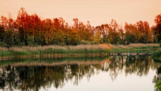 Reed abendstimmung sunset