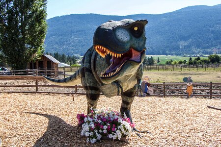 Flower landscape rex