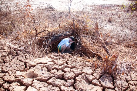 Dry dry grass drought photo