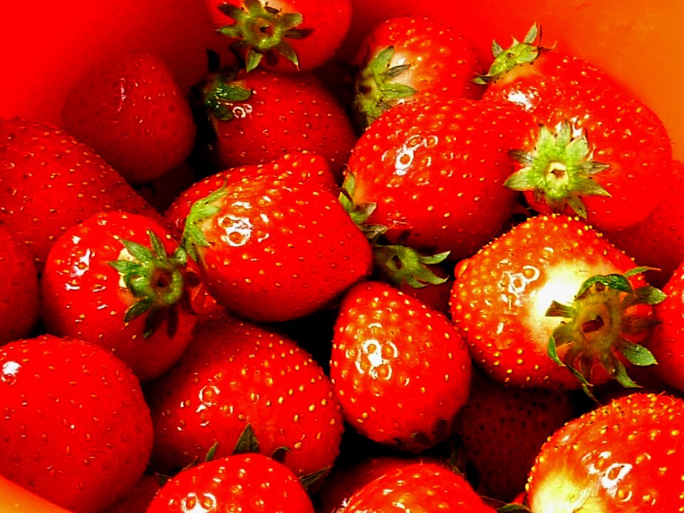 Fruit sweet summer