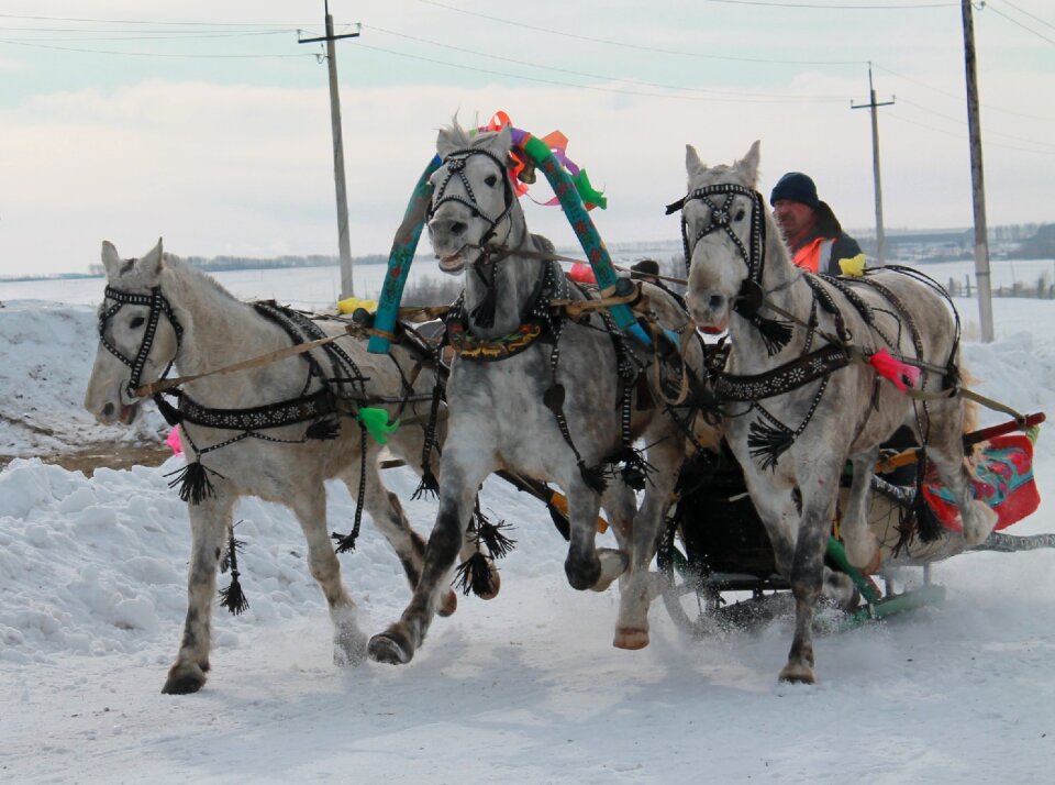 Sani winter russia
