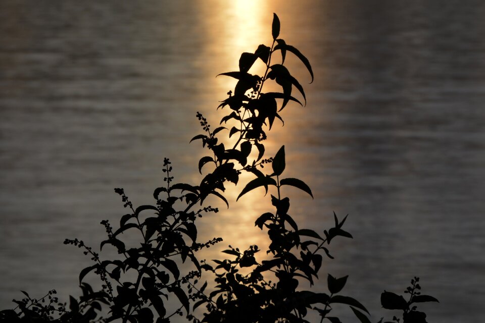 Abendstimmung mirroring atmospheric