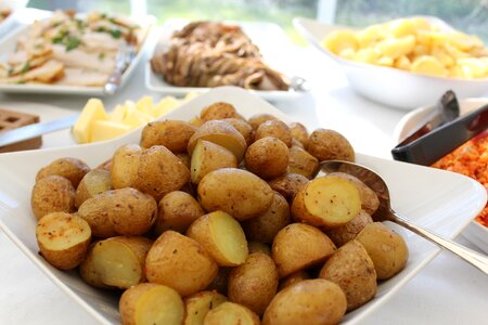 Plate catering celebration