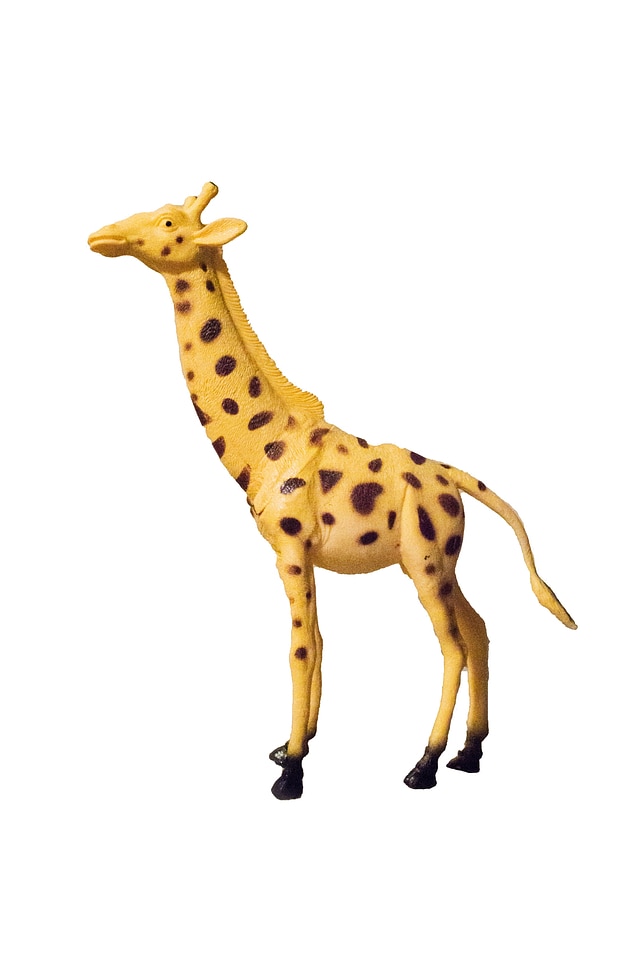 Giraffe giraffes toys