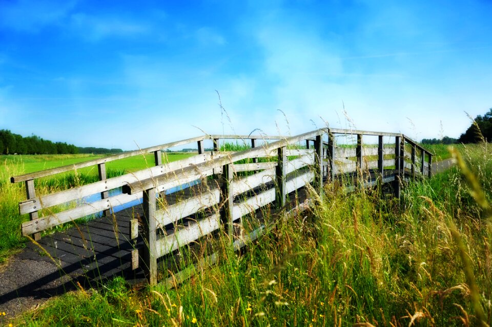 Dutch landscape polder scenic
