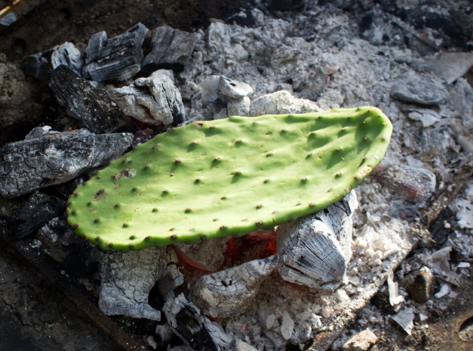 Coals cooking pear