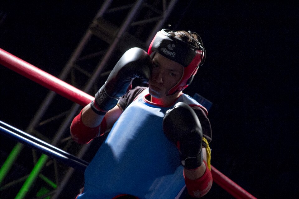 Muay thai gloves protectors