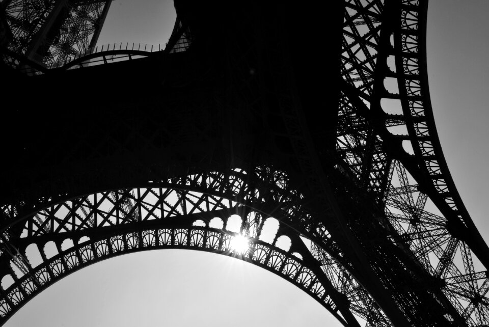Black and white silhouette against the light