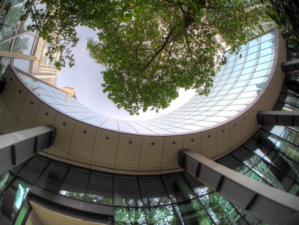 Tree windows architecture