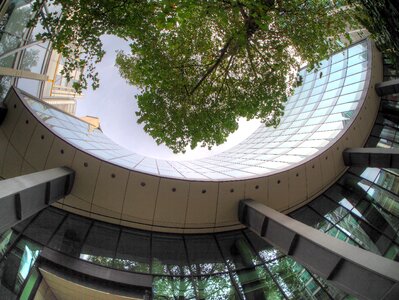 Tree windows architecture