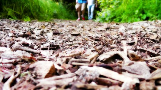 Walk walking summer