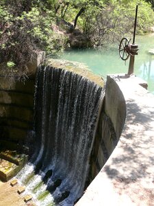 Nepta piges rhodes water