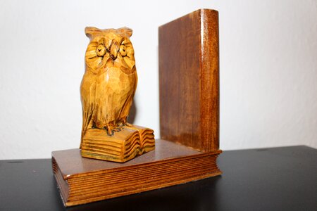 Read owl books