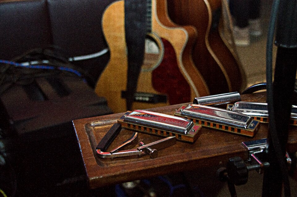 Harmonica blues musical instrument