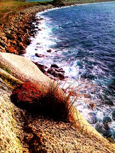 Wild coast brittany ocean
