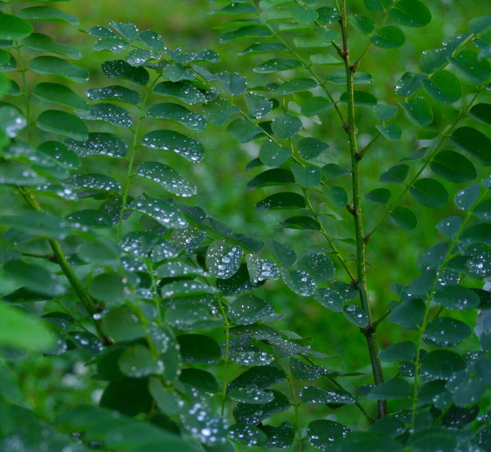 Drop of water promenade otsu park